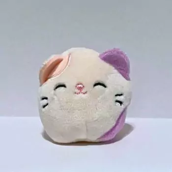 mini squishmallow charlotte on white table