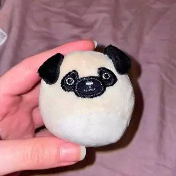 mini squishmallow prince placed in hand