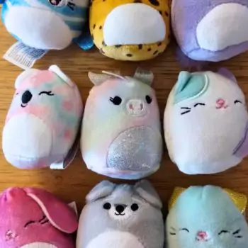 small squishmallow aria in between many squishmallow