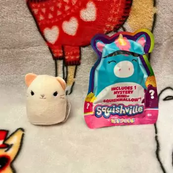 squishville kelsey with squishmallow packet